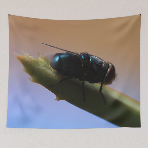 Item preview, Little Fly in Our Garden designed and sold by Geoff Treagus.