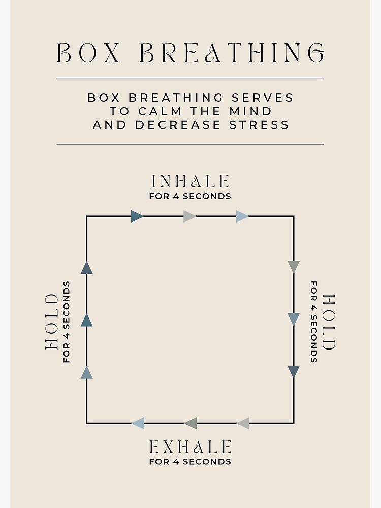 Box Breathing Into Meditation  15 Minutes Box Breathing - 15 Minutes Body  Scan & Mindfulness 