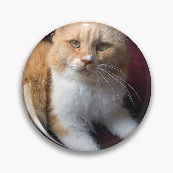 Item preview, Le Chat designed and sold by likbatonboot.