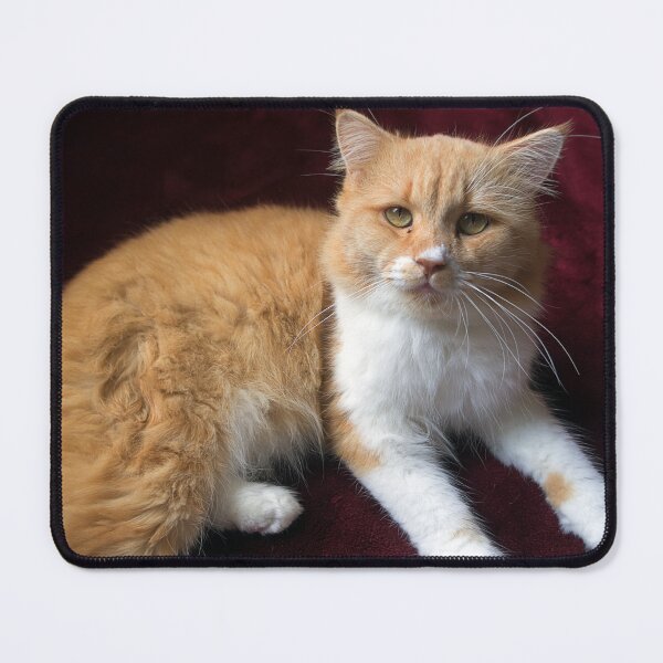 Item preview, Le Chat designed and sold by likbatonboot.
