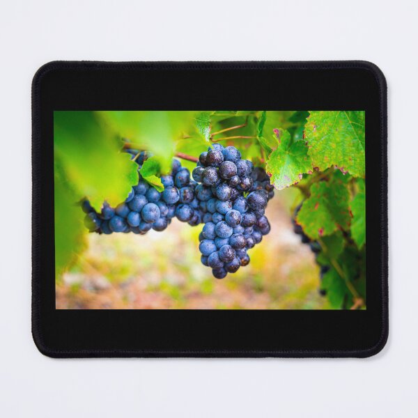 Item preview, Close-up on gamay designed and sold by Gaël FONTAINE.