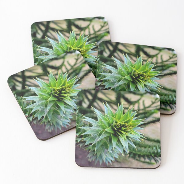 Item preview, Monkey Puzzle Tree designed and sold by Rebekah Slick.