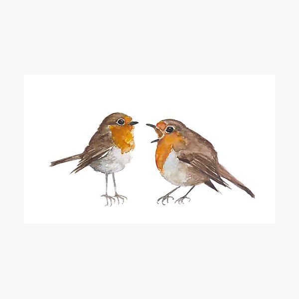 Robin & Marian Photographic Print