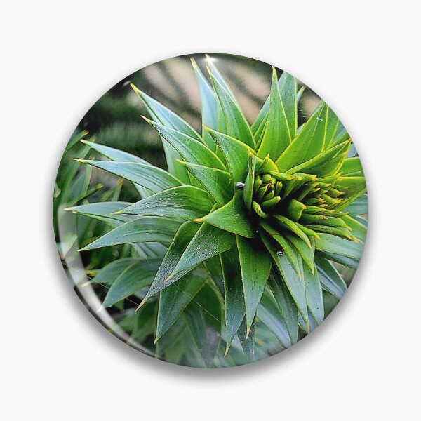 Item preview, Monkey Puzzle Tree designed and sold by Rebekah Slick.