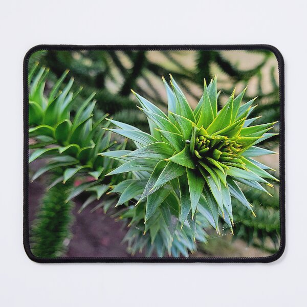 Item preview, Monkey Puzzle Tree designed and sold by Rebekah Slick.