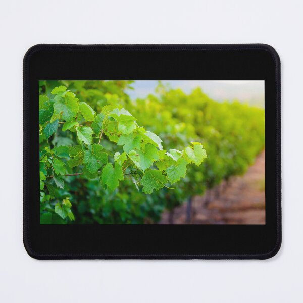 Item preview, Vine leaves at dusk designed and sold by Gaël FONTAINE.