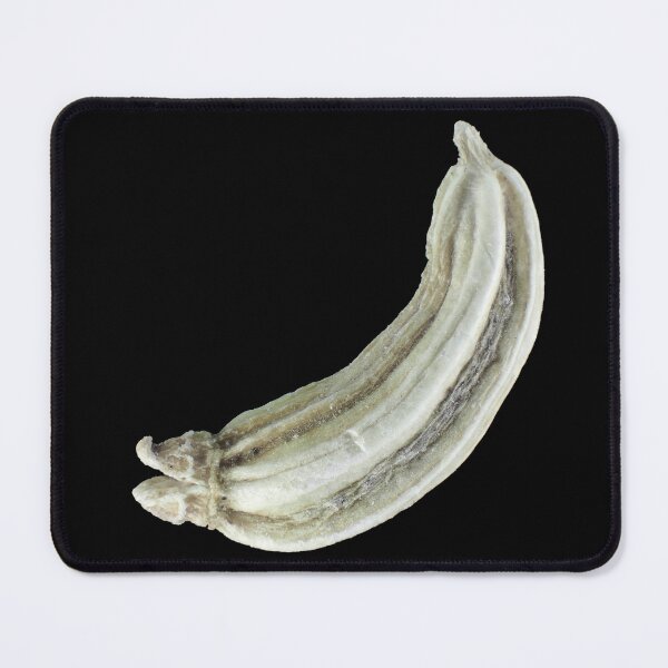 Item preview, Fennel seed under the microscope designed and sold by SDym Photography.