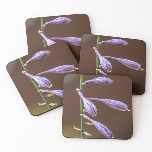 Aperçu de l'œuvre Fleur mauve créée et vendue par Stevens-Prints.