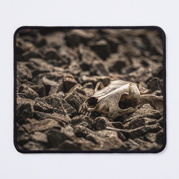 Item preview, Skull designed and sold by Stevens-Prints.