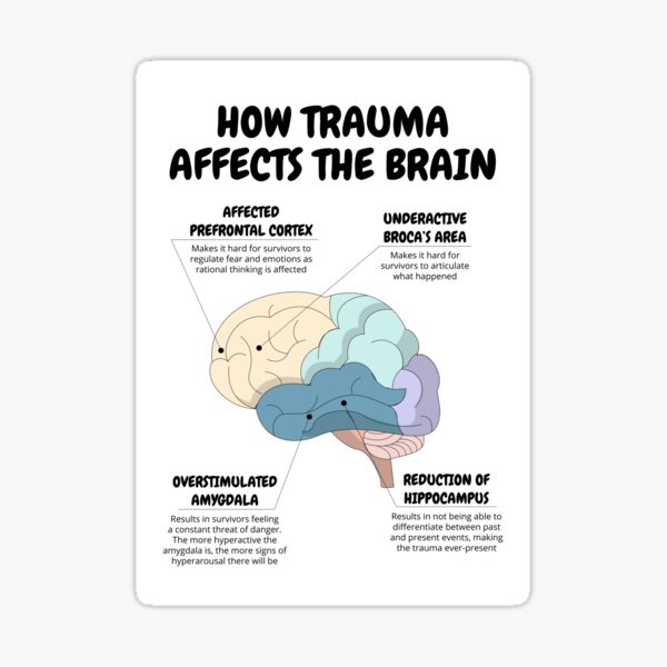 Item preview, How Trauma Affects The Brain Therapist Office Decor PTSD Recovery CBT DBT Therapy Counseling Aid Social Worker School Psychologist Corner designed and sold by Therapy Tools For All.