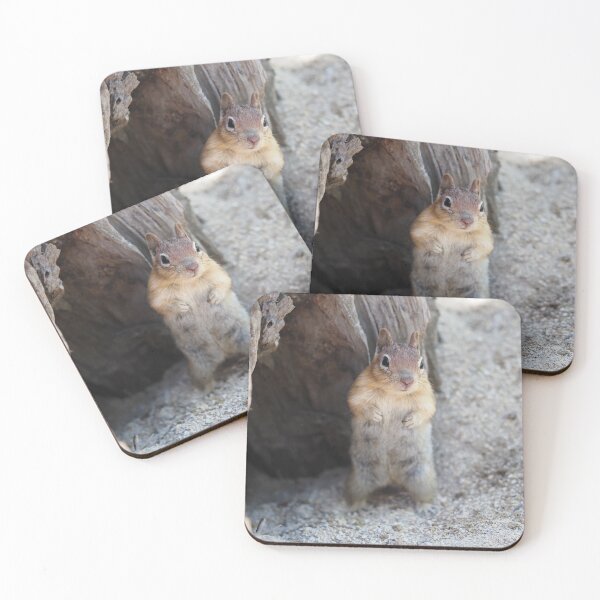 Item preview, Golden-mantled ground squirrel designed and sold by SDym Photography.