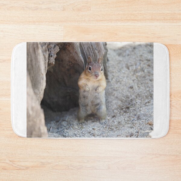 Item preview, Golden-mantled ground squirrel designed and sold by SDym Photography.