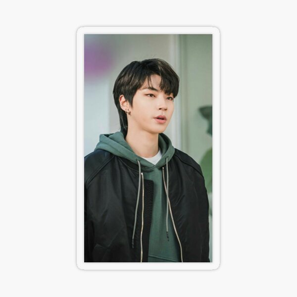 Cha eun woo, lee suho Sticker for Sale by PIKABOOO