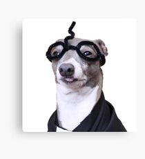 Kermit Potter Canvas Print