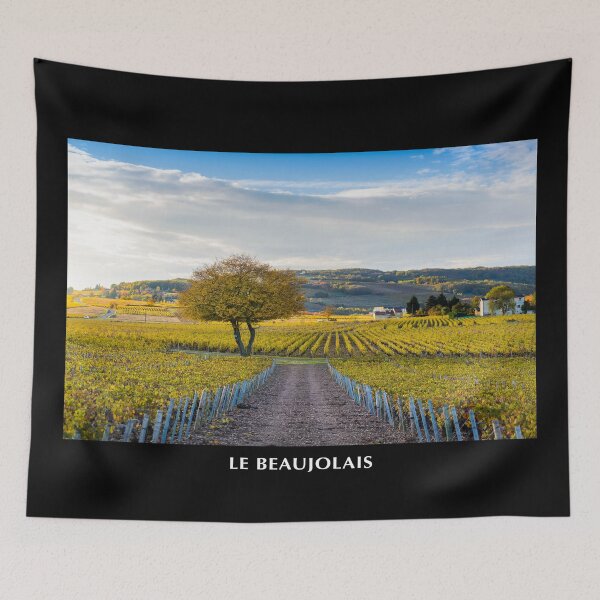 Item preview, Beaujolais landscape in autumn, France designed and sold by Gaël FONTAINE.