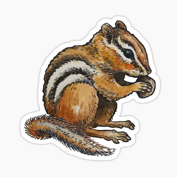 Item preview, Chipmunk Eating designed and sold by Caleb Faires.