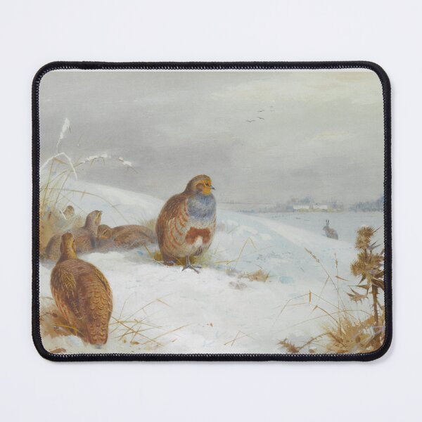 Item preview, Hard times - Partridges and a Hare by Archibald Thorburn designed and sold by Amanda1775.