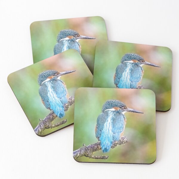 Item preview, Kingfisher 1 designed and sold by Jinxyboy1908.