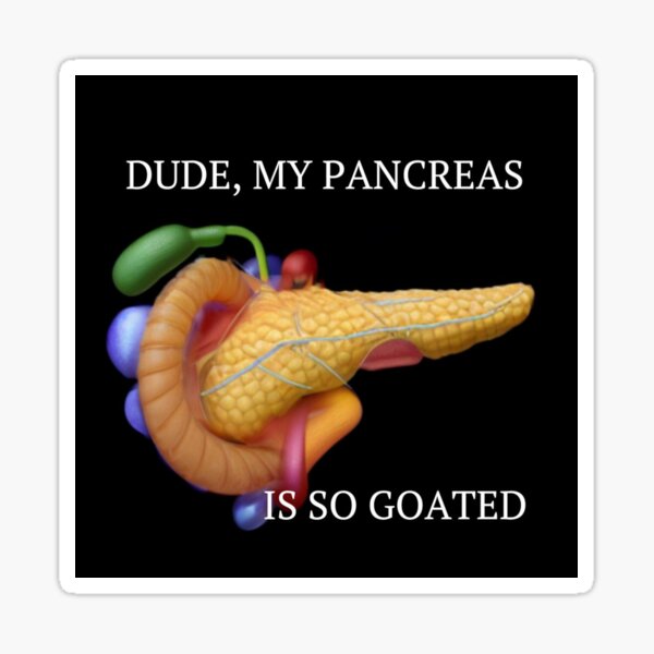Dude, My Pancreas is So Goated Sticker