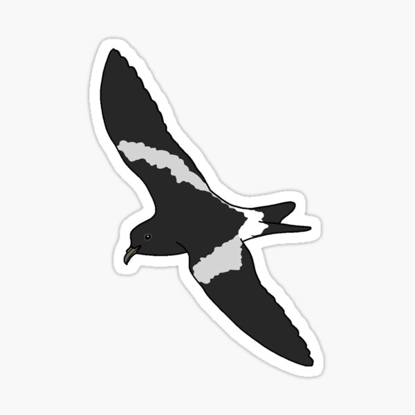 Item preview, Leach's Storm Petrel designed and sold by taylorrowan.