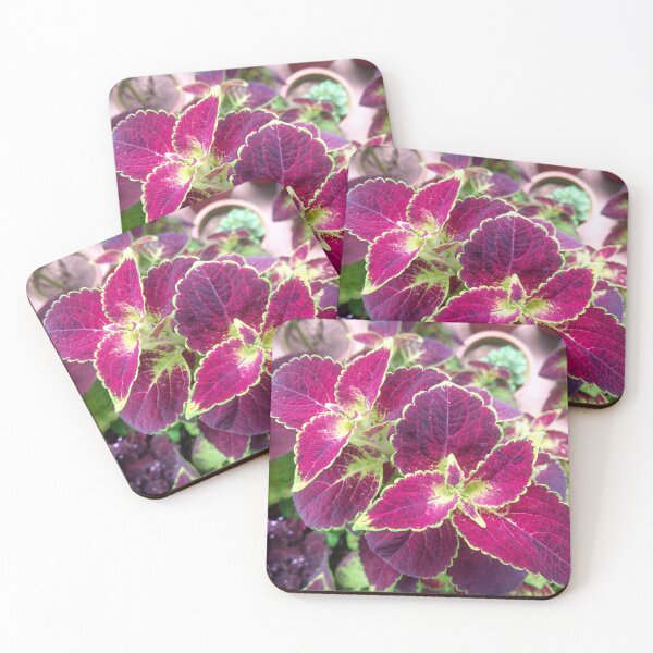 Item preview, Multicolor leaves designed and sold by ridhiandparidhi.