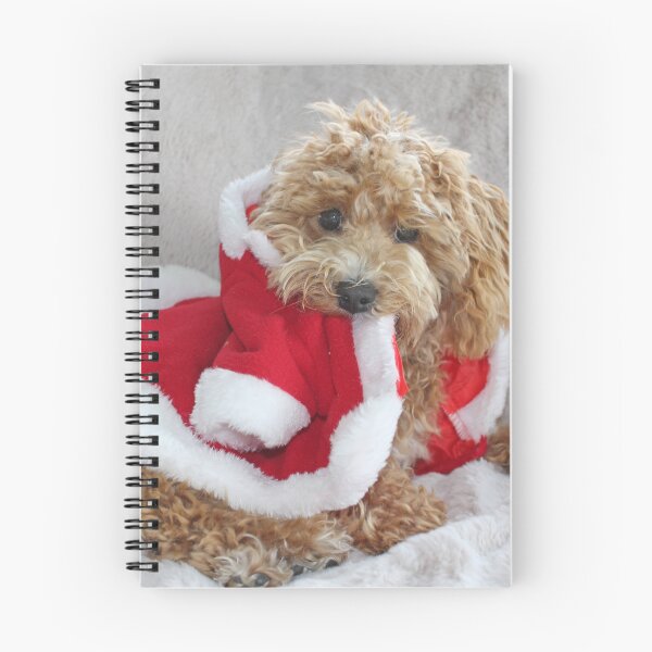Artikelvorschau, Maltipoo Weihnachtsmann entworfen und verkauft von Liz Lane.