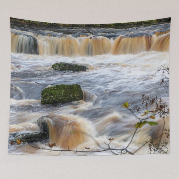 Item preview, Aysgarth Falls, Yorkshire designed and sold by Dave Hare Photography.
