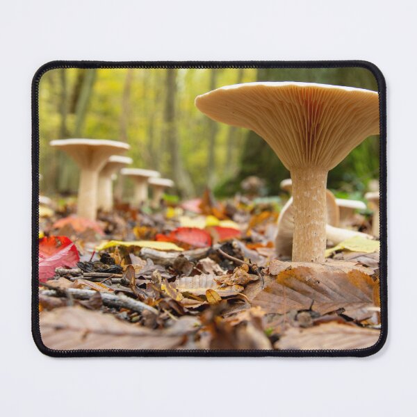 Item preview, Stools for Toads designed and sold by Roy K Hills.