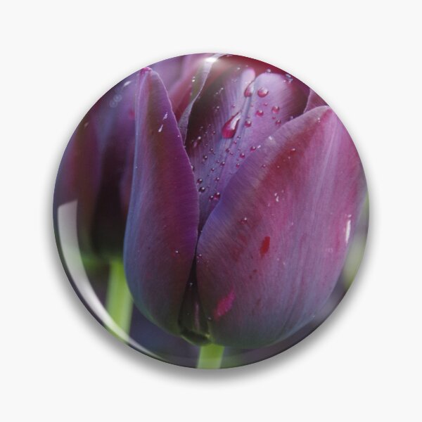 Item preview, Deep Purple Tulip In Somerset UK designed and sold by lezvee.
