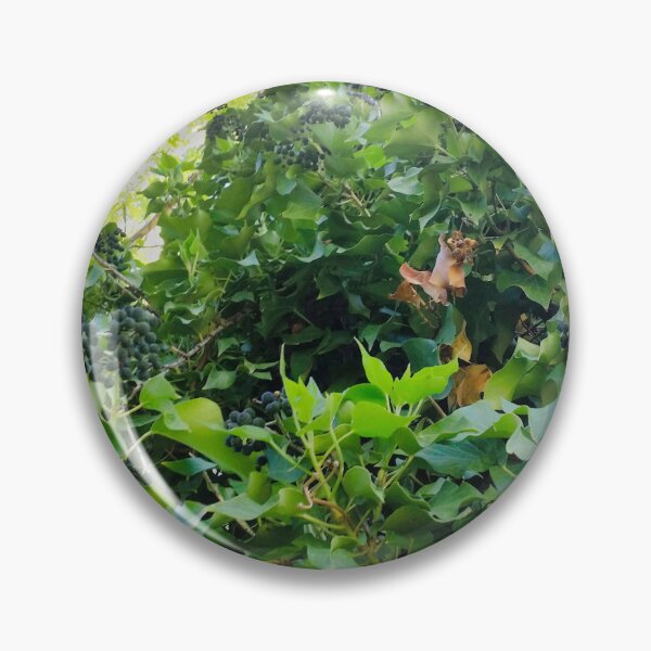 Item preview, The Grapevine designed and sold by OnigiriSuiko.