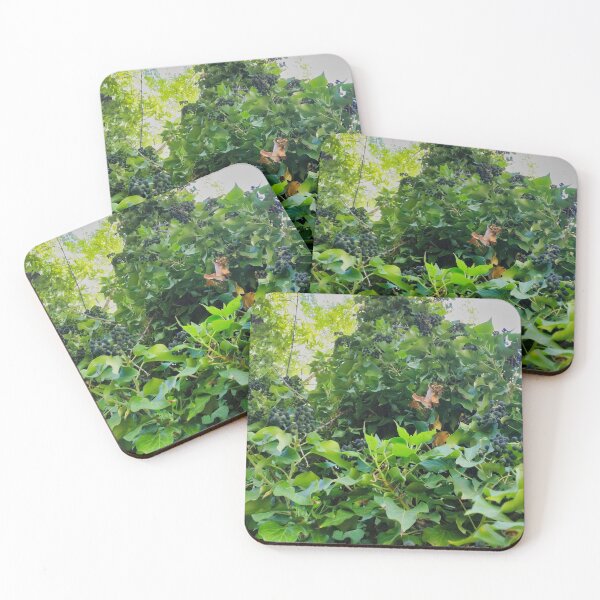 Item preview, The Grapevine designed and sold by OnigiriSuiko.