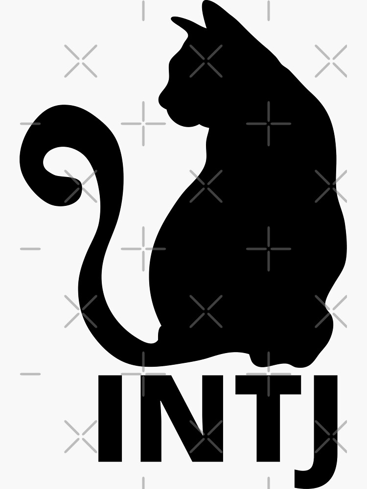 Funny INTJ Definition Sticker MBTI Personality Type 