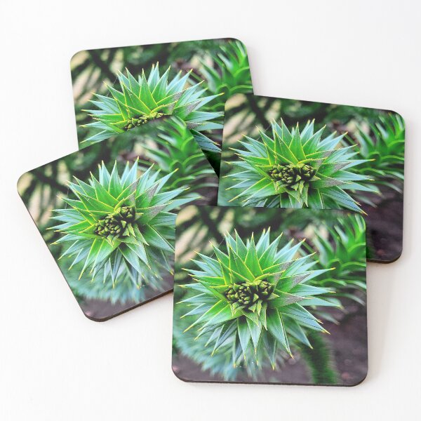 Item preview, Monkey Puzzle Tree Branch designed and sold by Rebekah Slick.