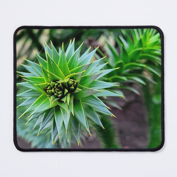 Item preview, Monkey Puzzle Tree Branch designed and sold by Rebekah Slick.