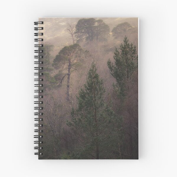 Artikelvorschau, Waldkiefern im Regen entworfen und verkauft von RichR.