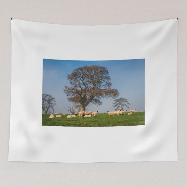 Item preview, Sheep In Somerset designed and sold by Dorset Girl.