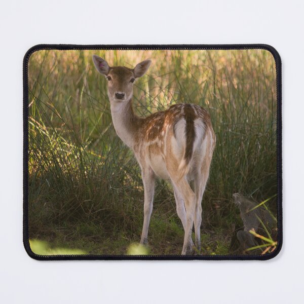 Item preview, Devonshire Bambi designed and sold by hawkie.