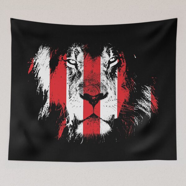 Item preview, Leon, Bilbao football fans designed and sold by Tshirtspain.