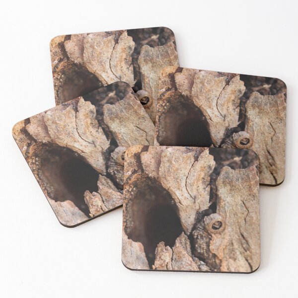 Item preview, The Tree's Skin Breaks designed and sold by Geoff Treagus.