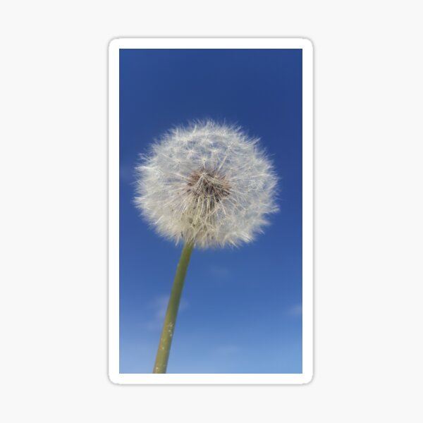 Item preview, Blowball designed and sold by LadyPochoir.