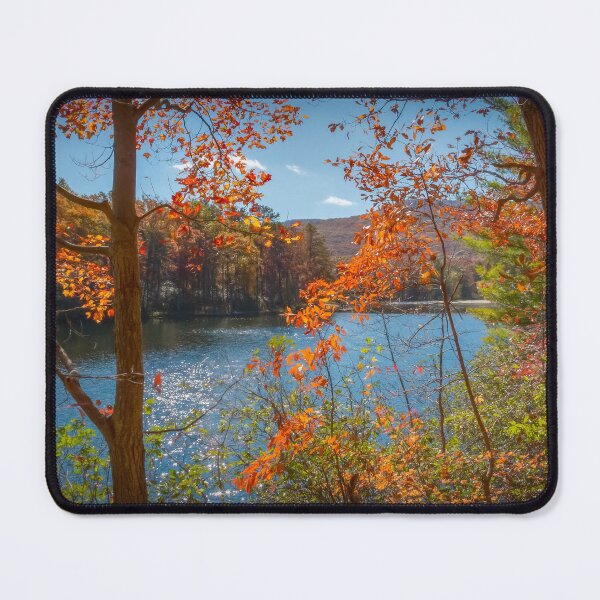 Item preview, Autumn Illuminated designed and sold by Viv Thompson Photography .