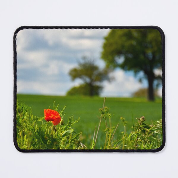 Item preview, Lonely Poppy near Waterford designed and sold by Roy K Hills.