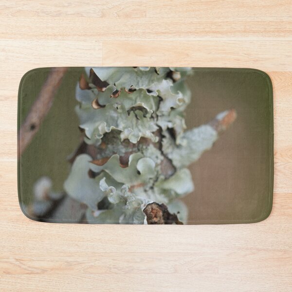 Item preview, Lichen from the Land of Dreams designed and sold by Geoff Treagus.