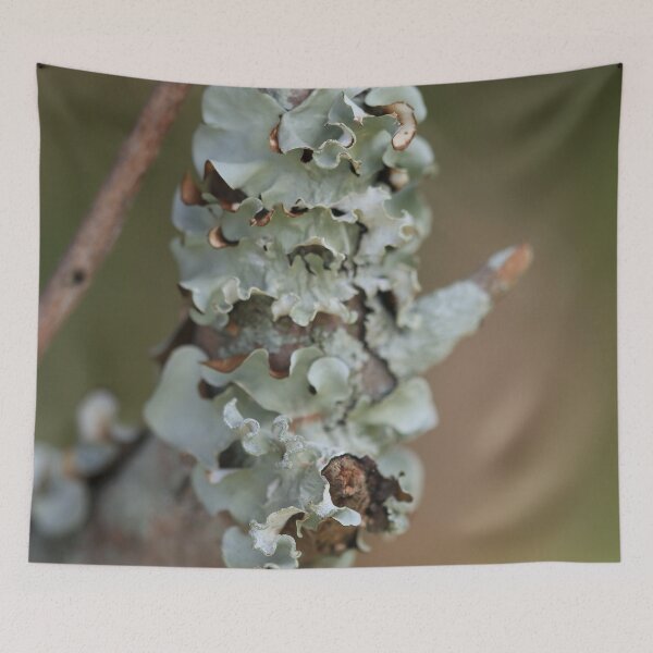 Item preview, Lichen from the Land of Dreams designed and sold by Geoff Treagus.