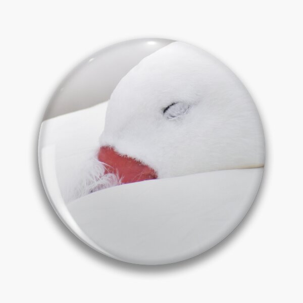 Item preview, Snow white designed and sold by SaraTomlinson55.