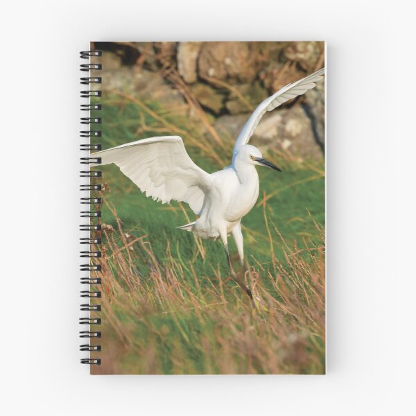Item preview, Egret lands, Bannow Island, County Wexford, Ireland designed and sold by AndrewJonesFoto.