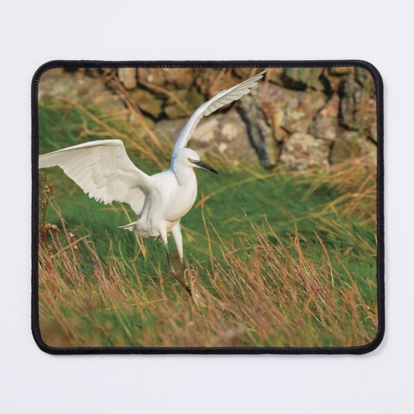Item preview, Egret lands, Bannow Island, County Wexford, Ireland designed and sold by AndrewJonesFoto.