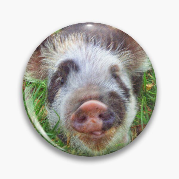 Artikelvorschau, Oink entworfen und verkauft von hawkie.