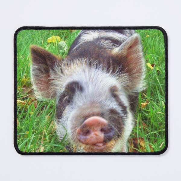 Item preview, Oink designed and sold by hawkie.