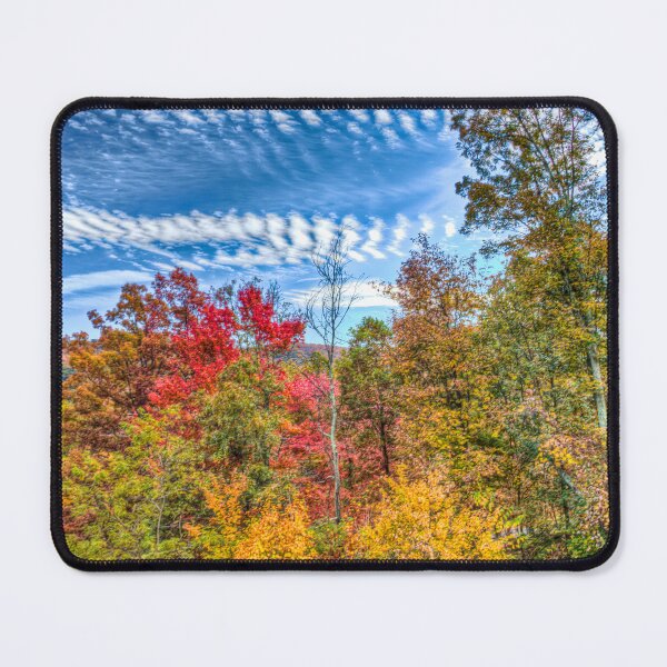 Item preview, Fall Colour in Lost River designed and sold by Viv Thompson Photography .